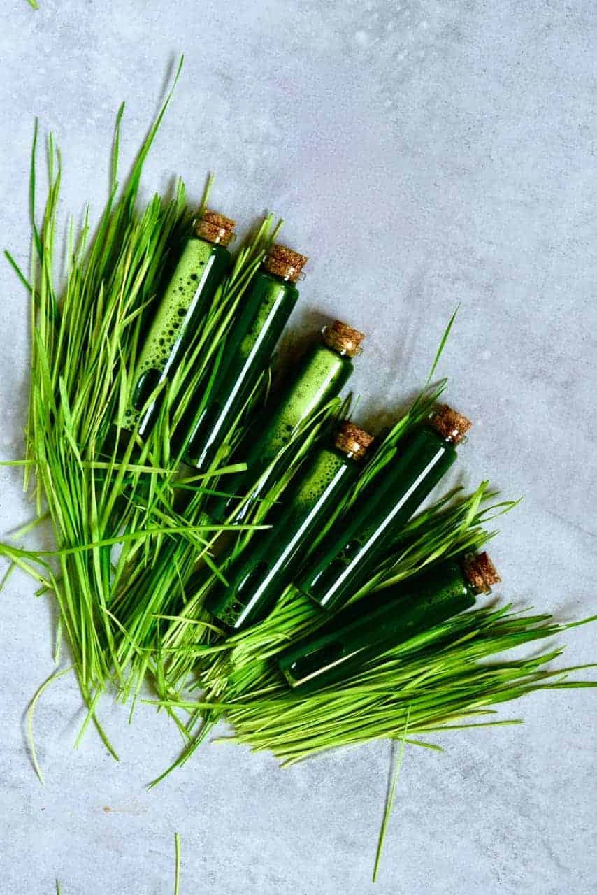 Wheatgrass shots