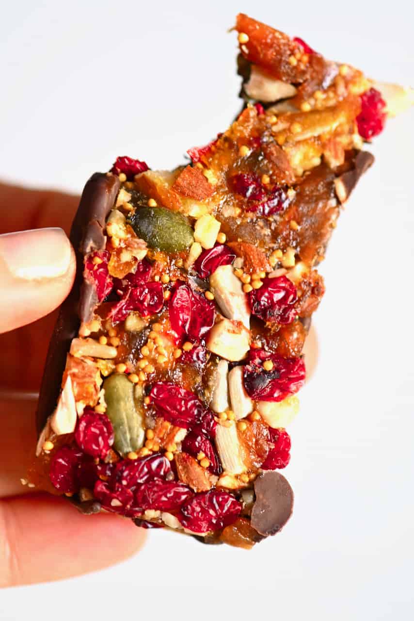 Chocolate Covered Healthy Fruit and Nut Bars
