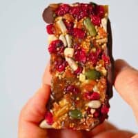 Square photo fruit and nut bar
