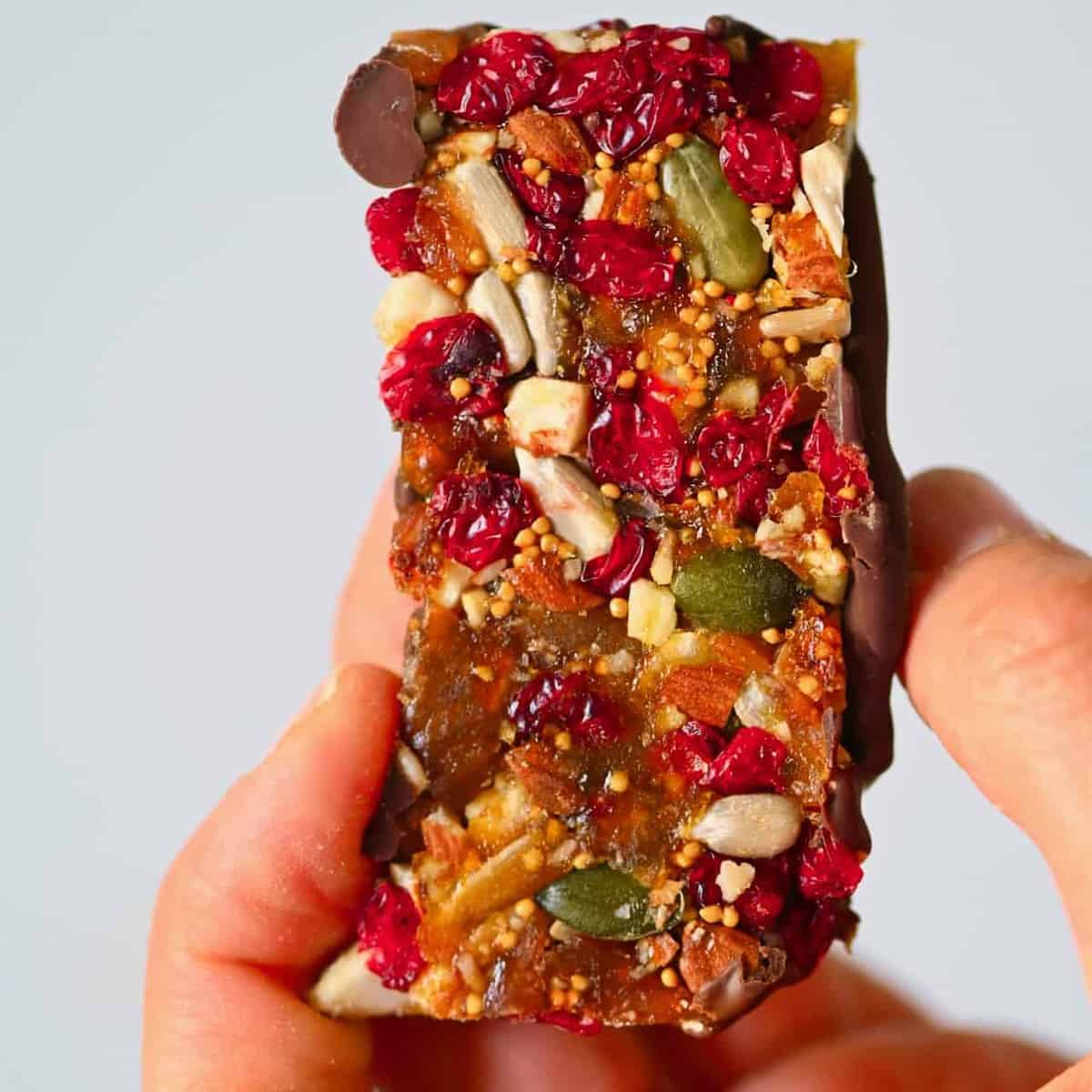 Square photo fruit and nut bar