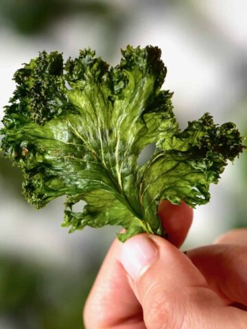 Square kale chips