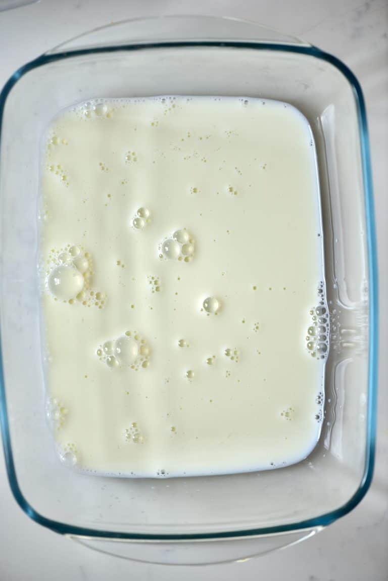 How To Make Powdered Milk At Home Alphafoodie