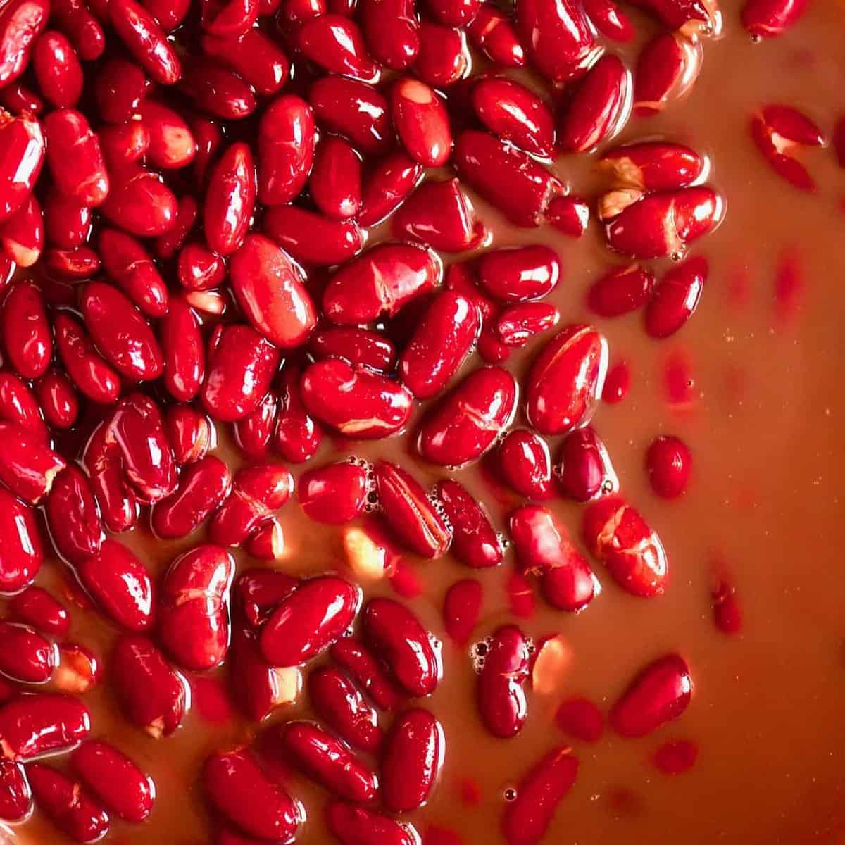 Square photo red kidney beans