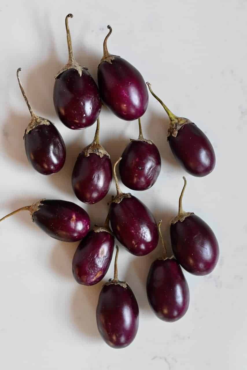Baby eggplants aubergines