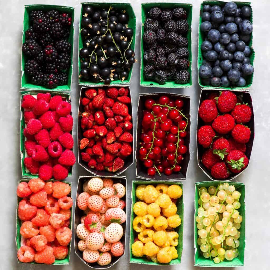 Different fresh berries types
