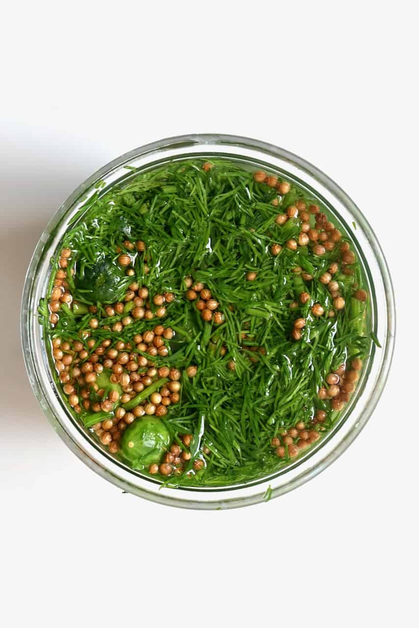 Dill and coriander seeds in a jar for pickling cucumbers