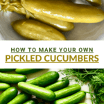 Homemade Easy Pickled Cucumbers Recipe - Alphafoodie