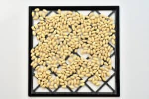 Blanched Almonds on a drying tray