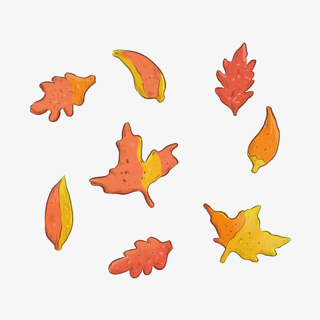 A drawing of crackers shaped like colorful autumn leaves