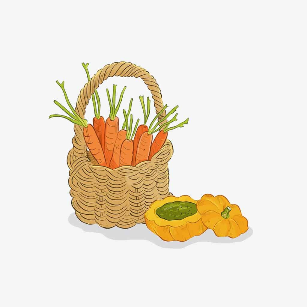 A drawing of carrots in a basket and mini pumpkin filled with pesto