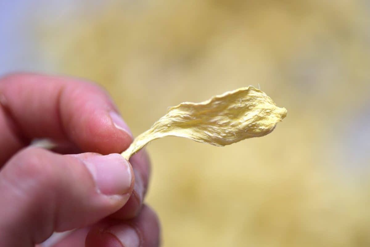 close up of one ginger chip