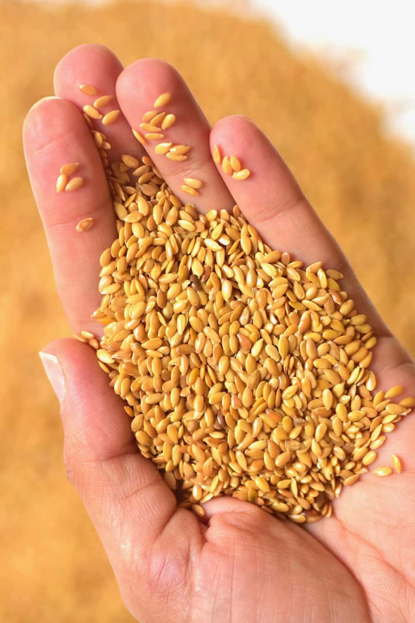 holding Golden Flaxseed in one hand