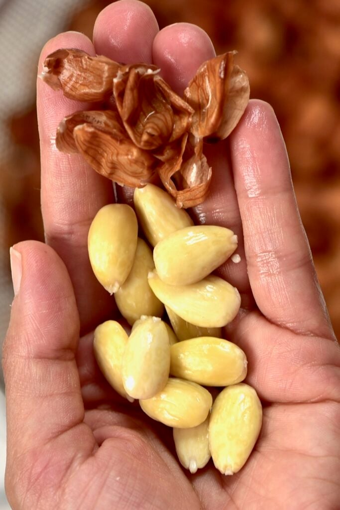 peeled almonds and almond skin on a hand