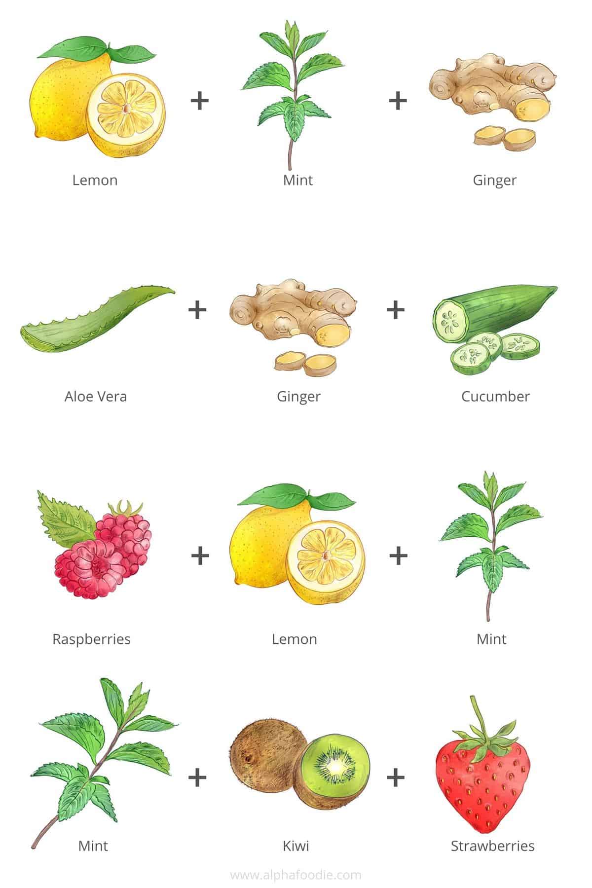 Drawings of fruit and spices for flavored water combinations