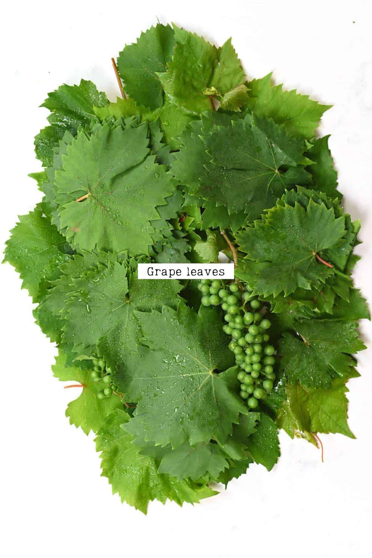 A stack of grape leaves