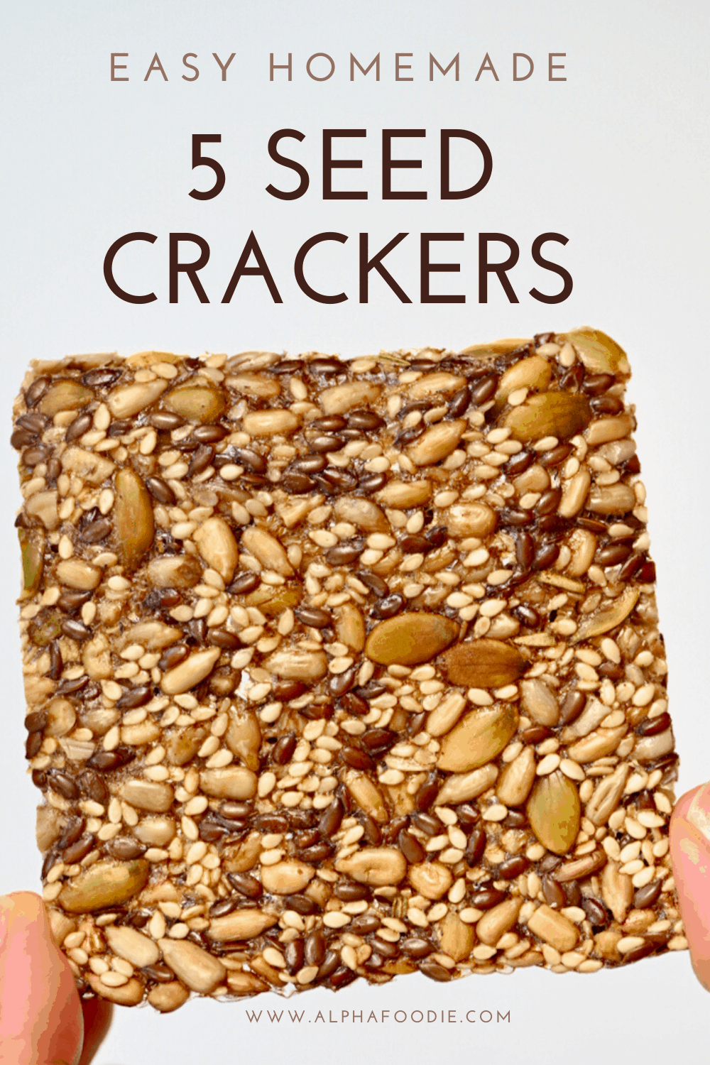 The Best Seed Cracker Recipe (GF, Vegan, Keto) Alphafoodie