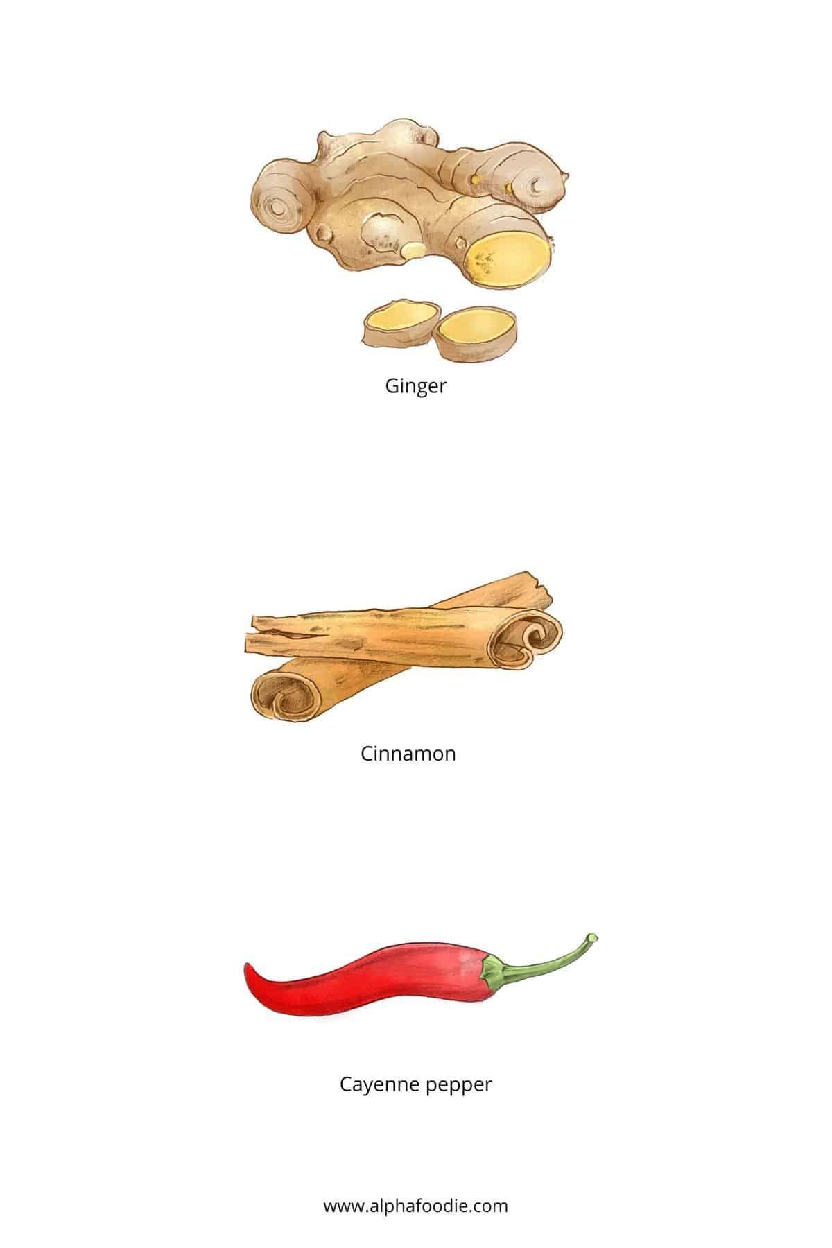 Drawings of spices to make flavored water