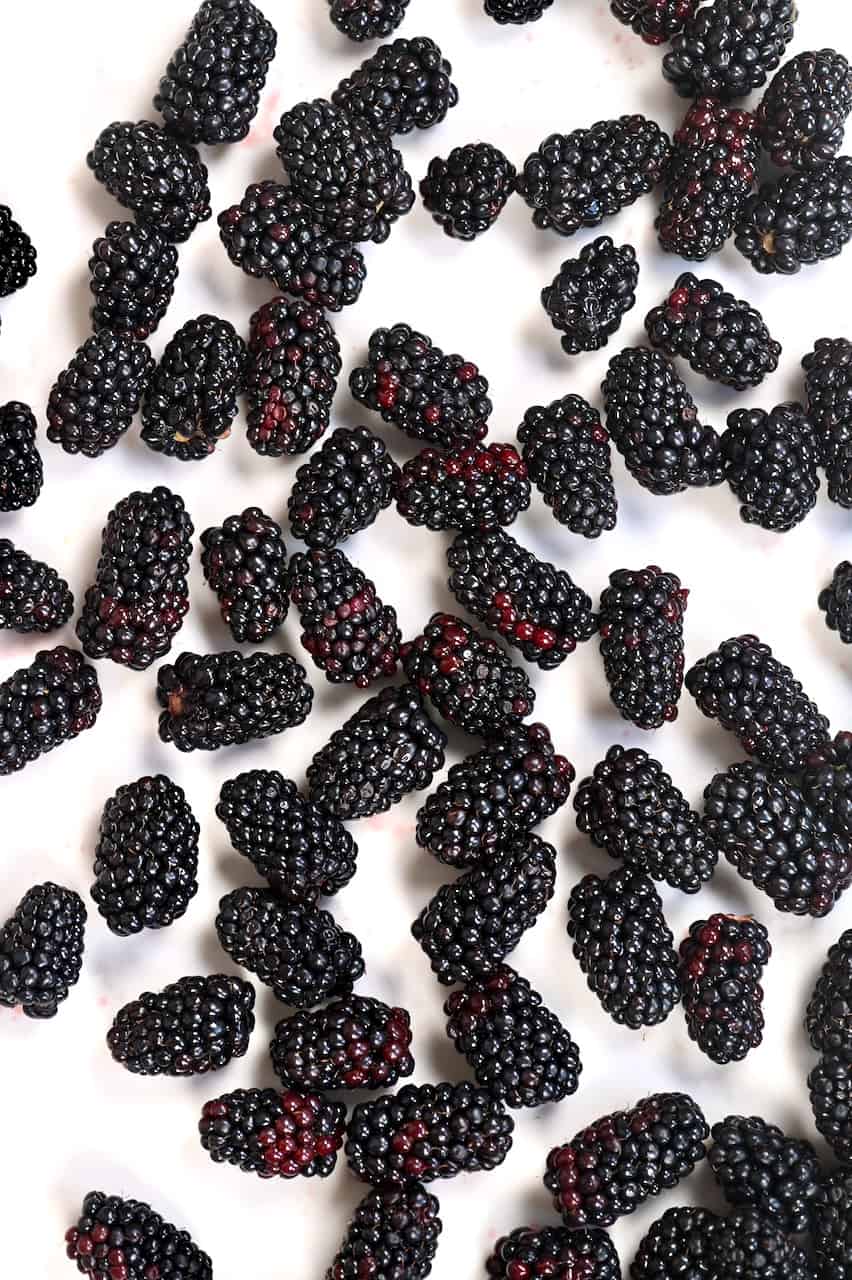 Spread of Blackberries