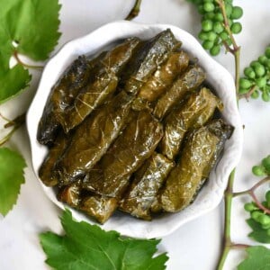 Stuffed Grape Leaves in a bowl - square photo