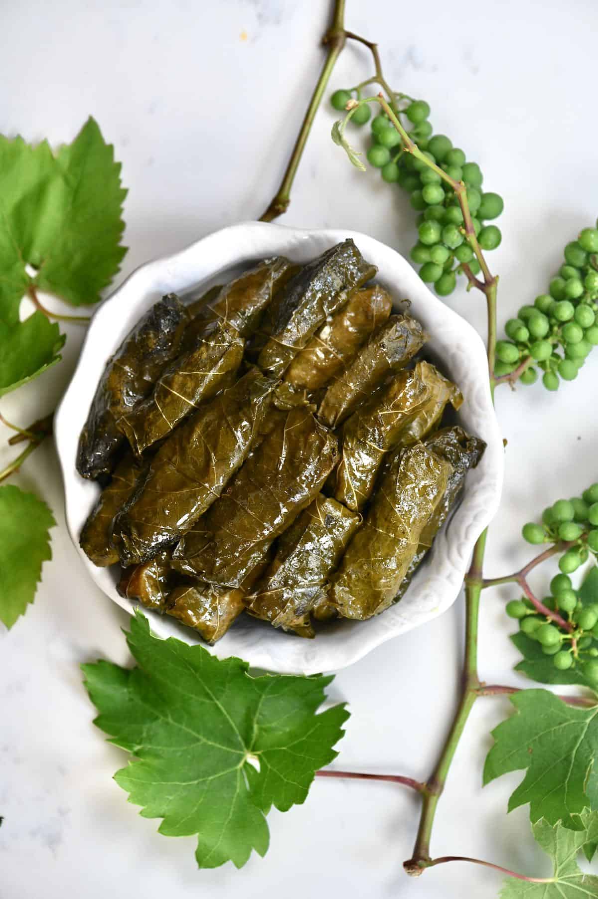 Stuffed Vine Leaves with green grape leaves
