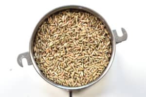 rye grains in a grinder horizontal