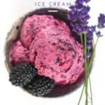 BLACKBERRY ICE CREAM Scoops decorated with lavender and blackberris
