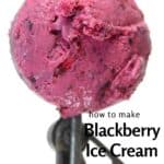 Closeup of BLACKBERRY ICE CREAM showing the texture
