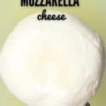 A ball of Mozzarella Cheese