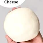 A ball of Mozzarella Cheese in a hand