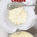 Steps to making Mozzarella Cheese