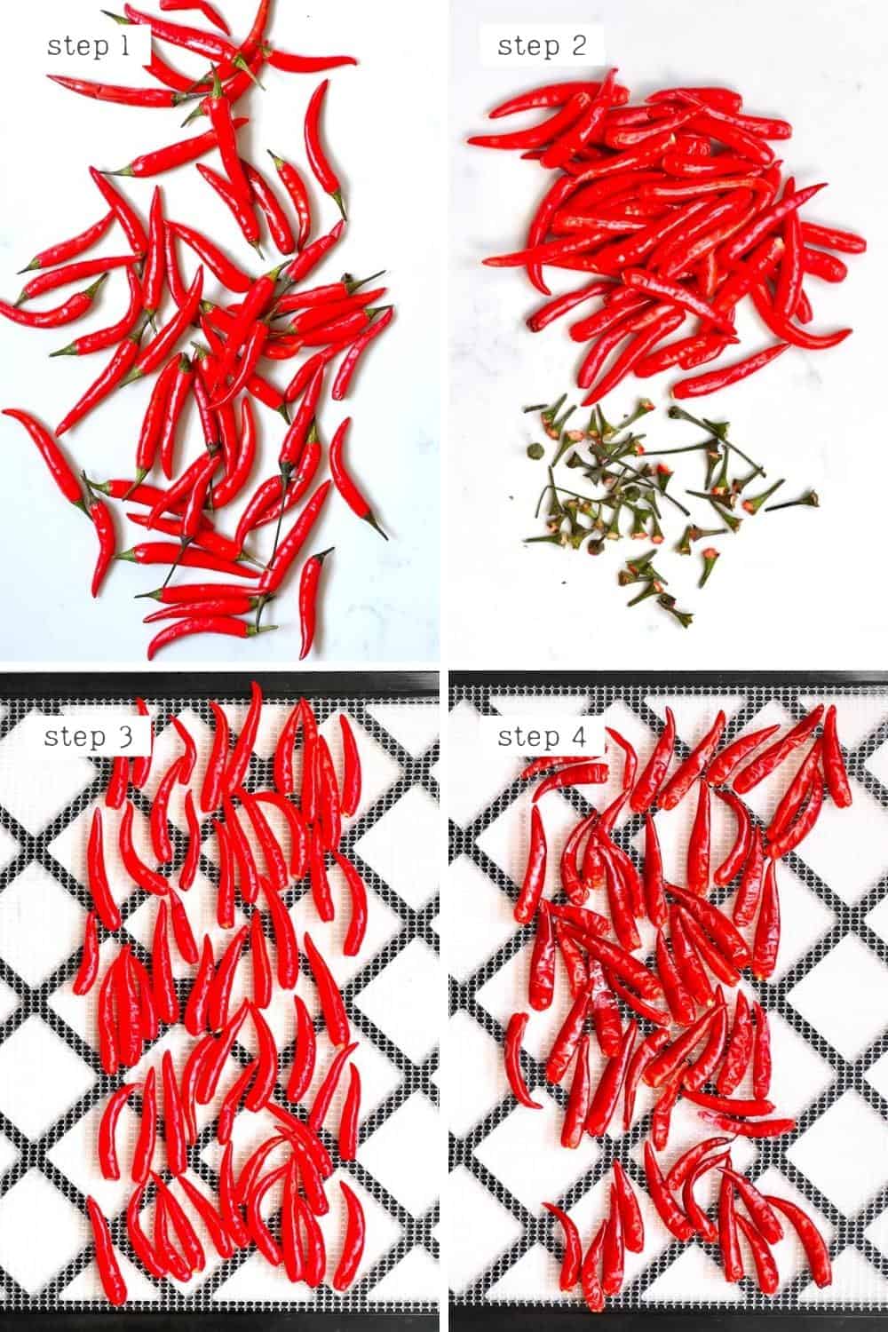 Steps for drying chilies
