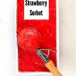 A scoop of Strawberry Sorbet and sorbet tin
