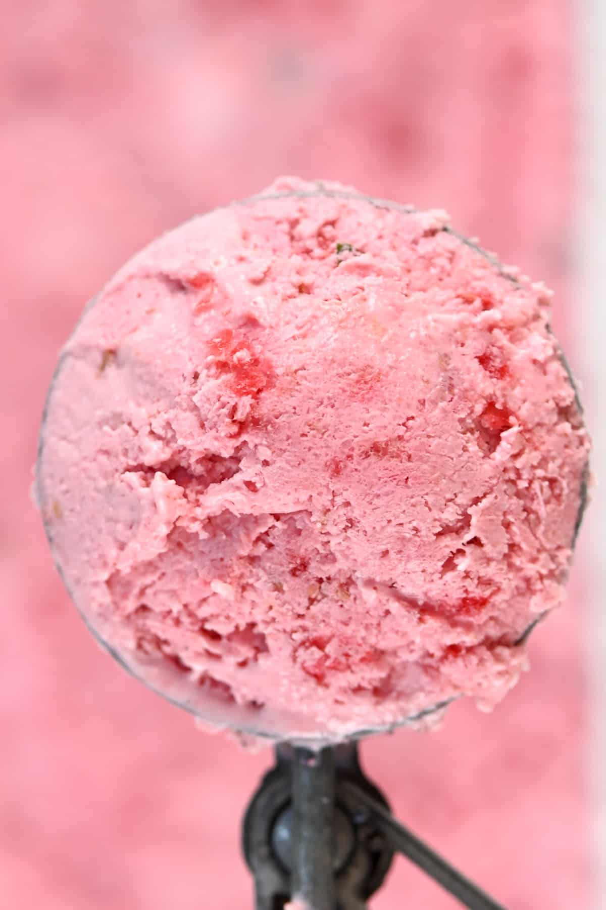 close up scoop of Raspberry yogurt Ice Cream