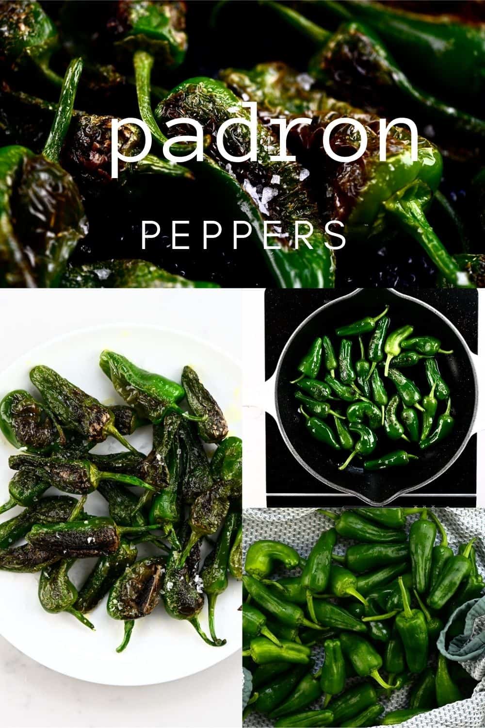 Fried Padrón Peppers (Blistered Mini Peppers) Alphafoodie