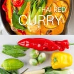 Ingredients for Thai Red Curry