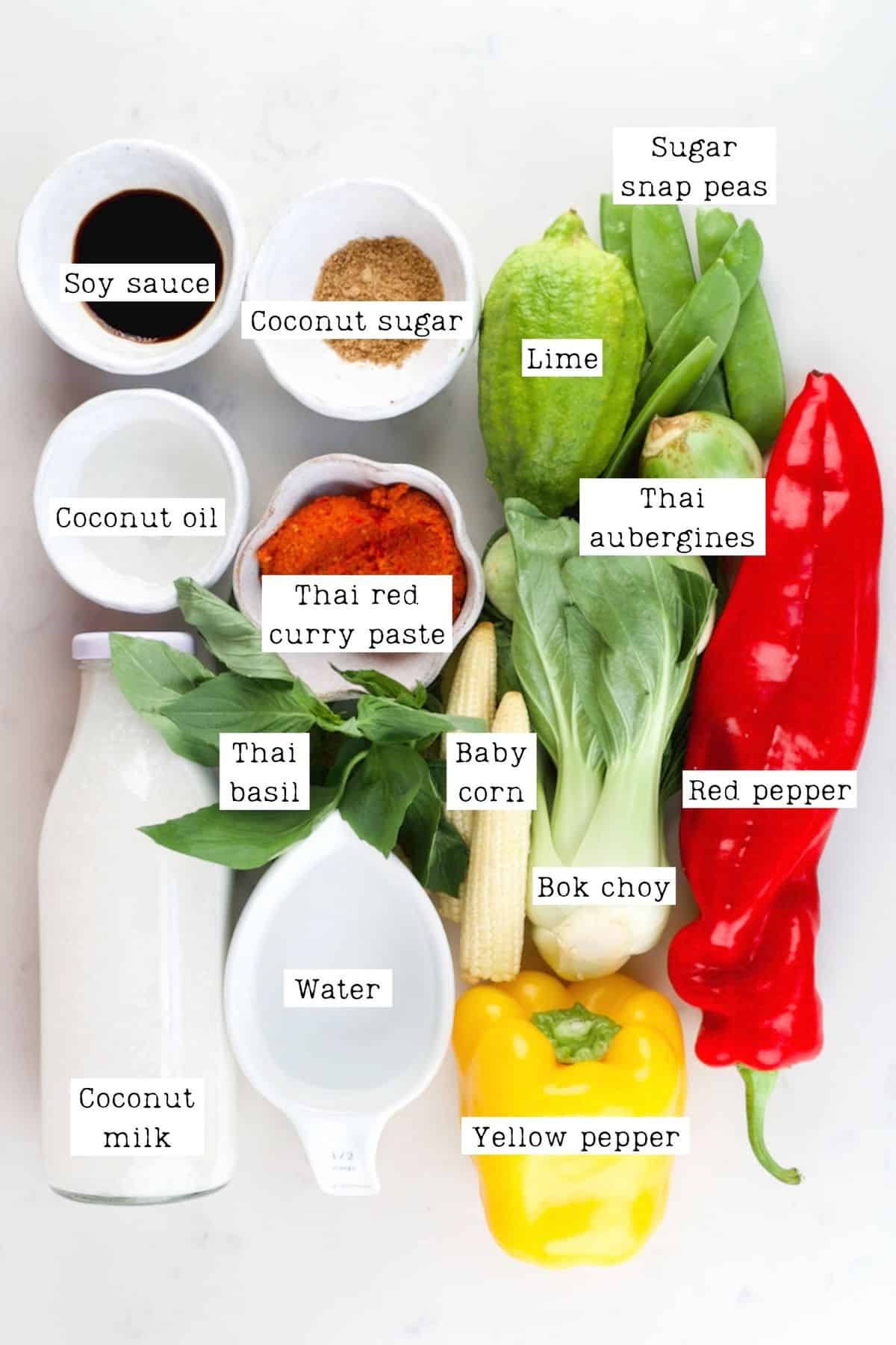 Thai Red Curry Ingredients