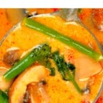 Close up of Tom Yum Soup