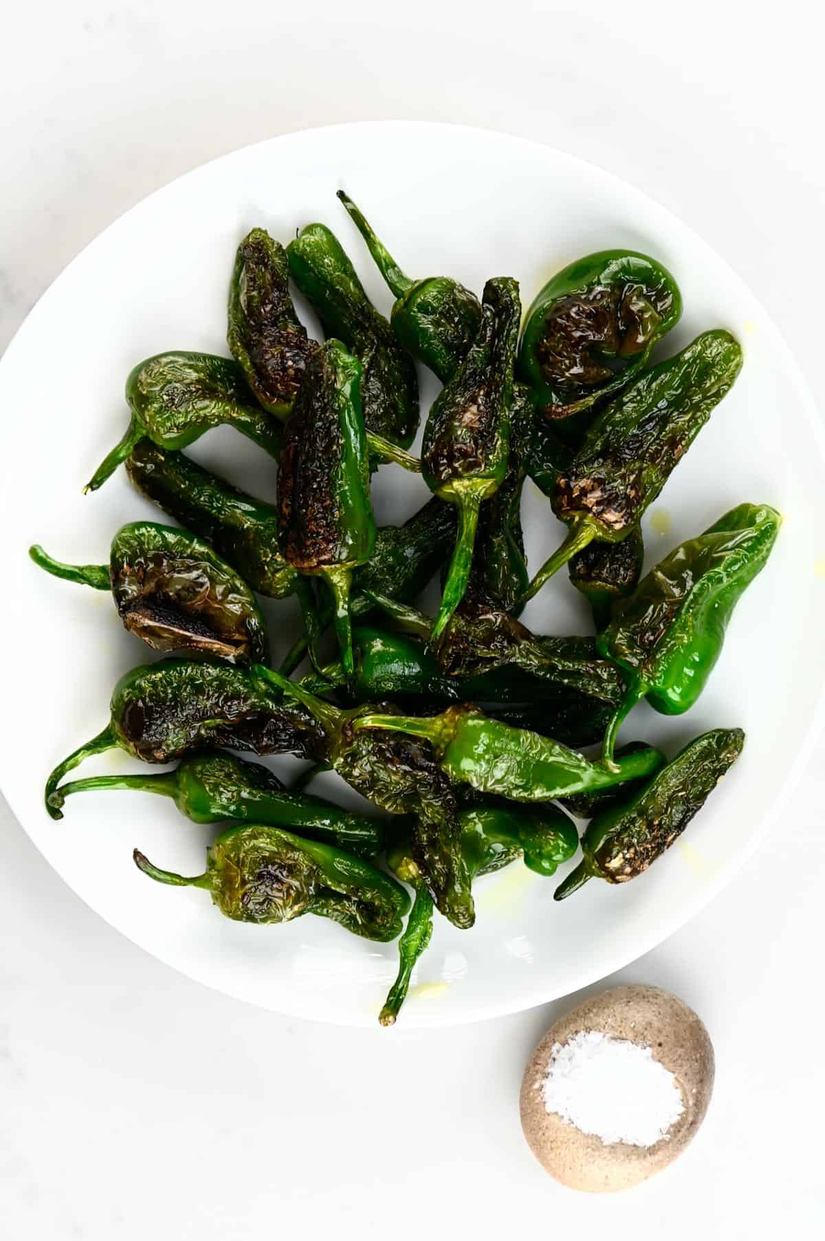 Padron peppers in a white plate and salt on the side