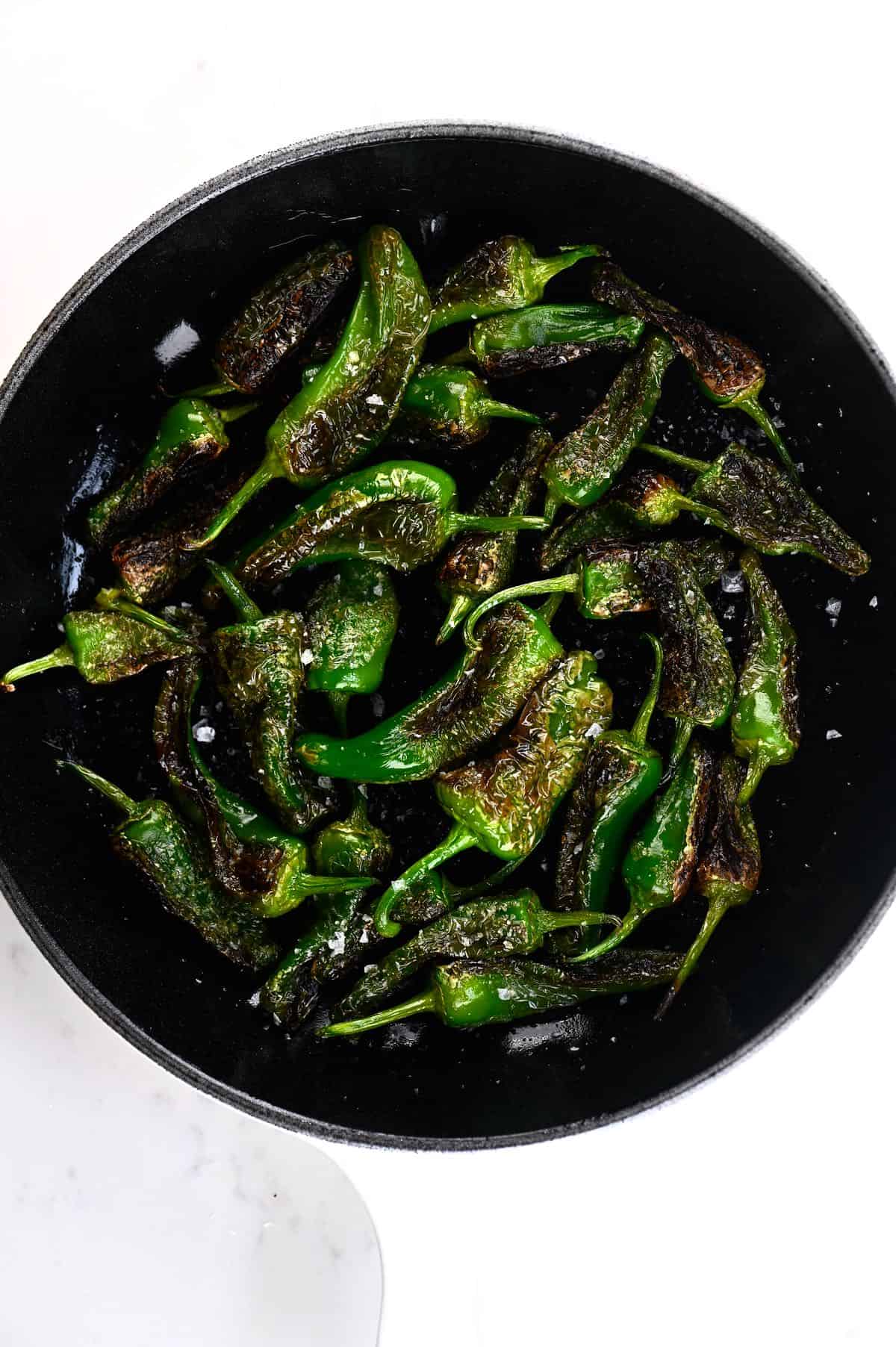 Padron peppers in a pan