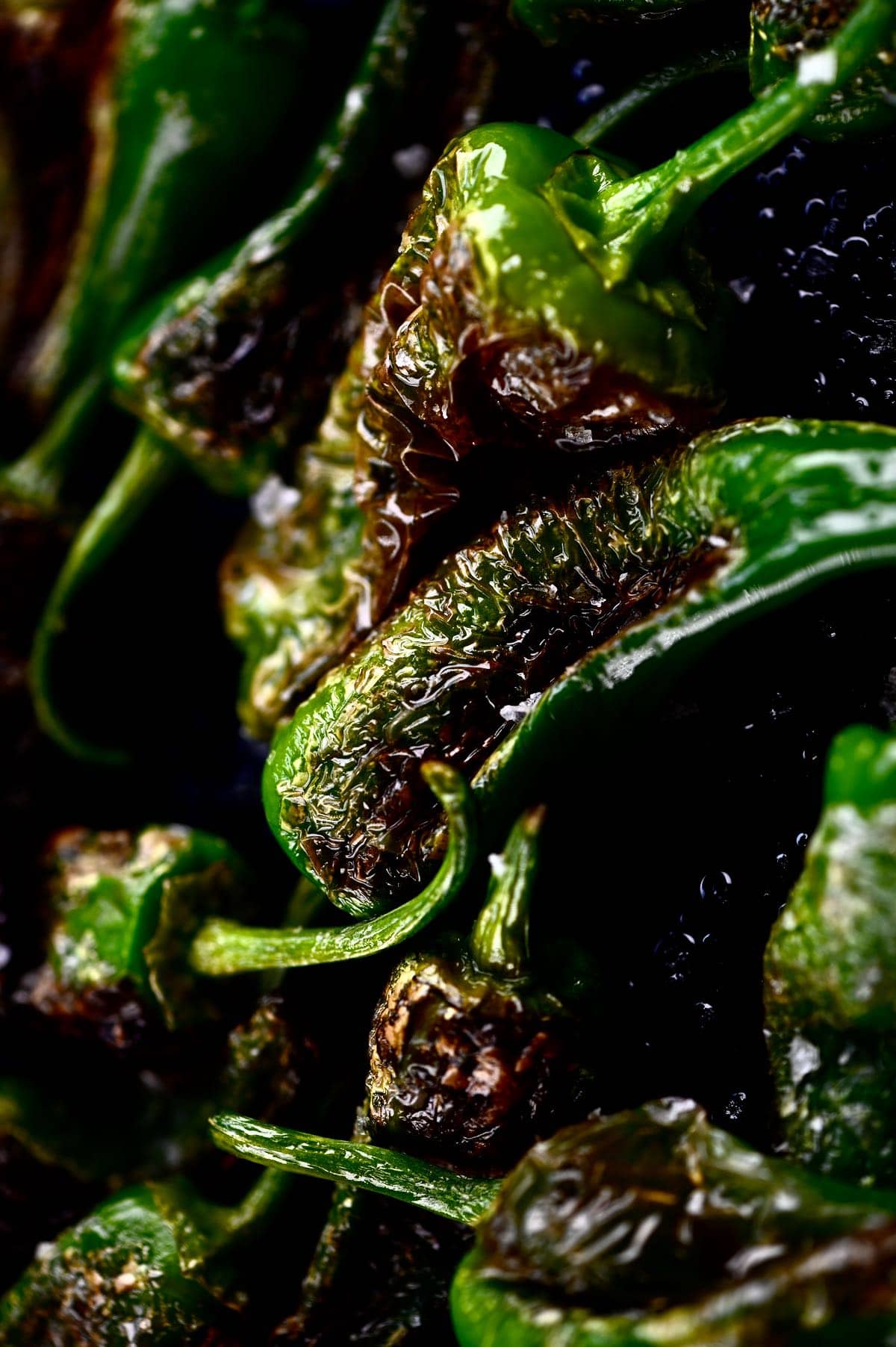 Close up of Padron peppers