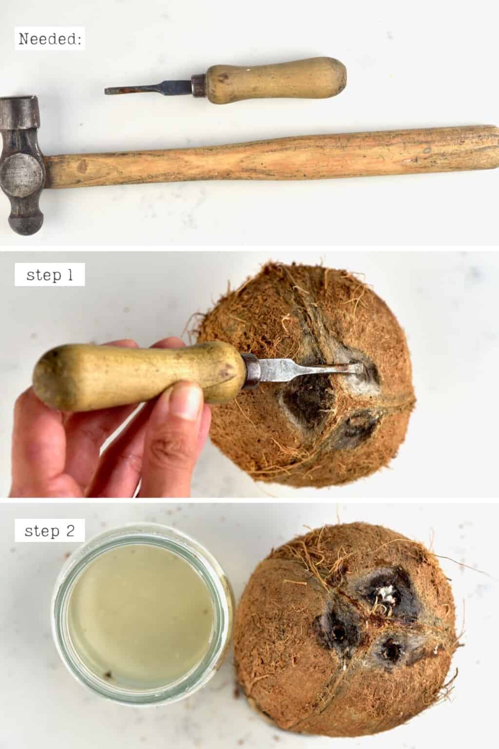 How To Open A Coconut (4 Easy Methods) Alphafoodie