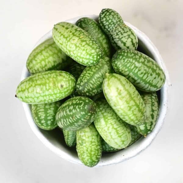 Cucamelon berries in a small bowl