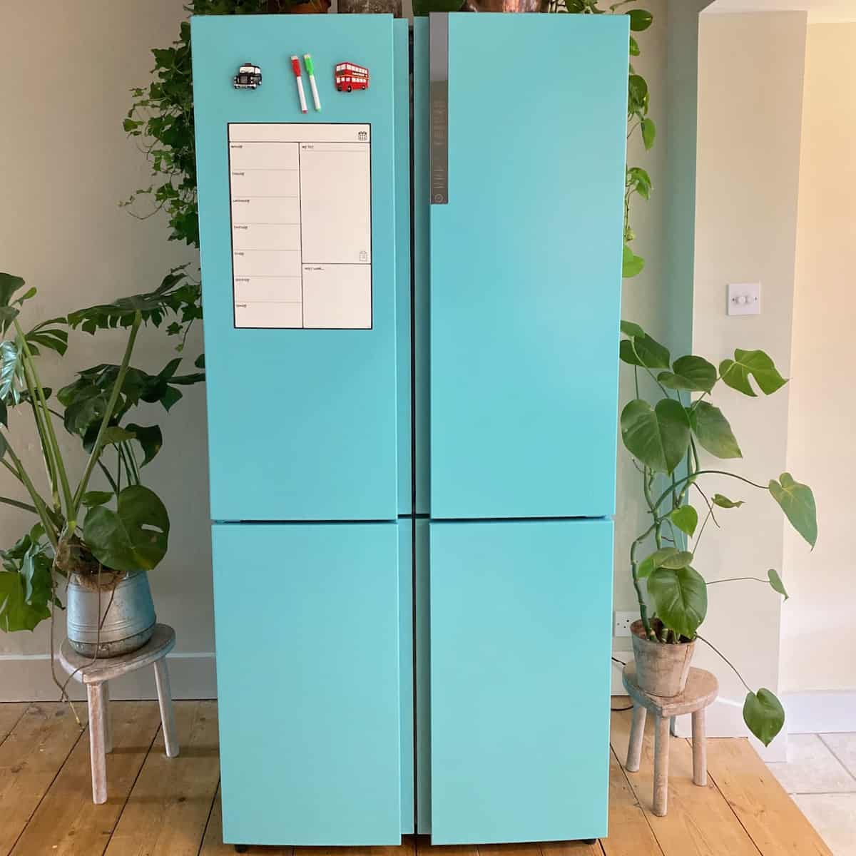 Multi-door fridge freezer freshly painted in turquoise with plants around it