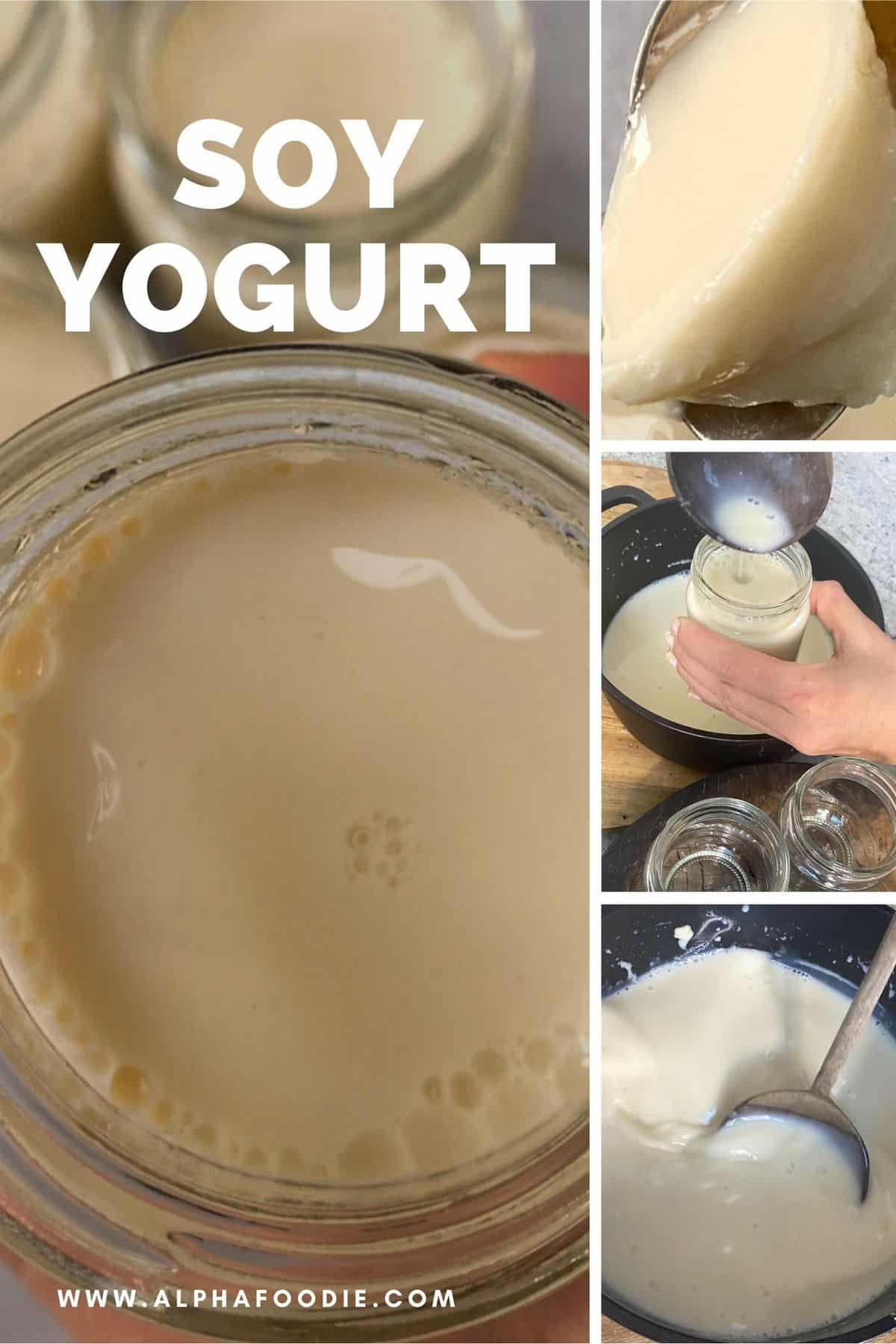 How To Make Soy Yogurt (Vegan Yogurt Recipe) Alphafoodie