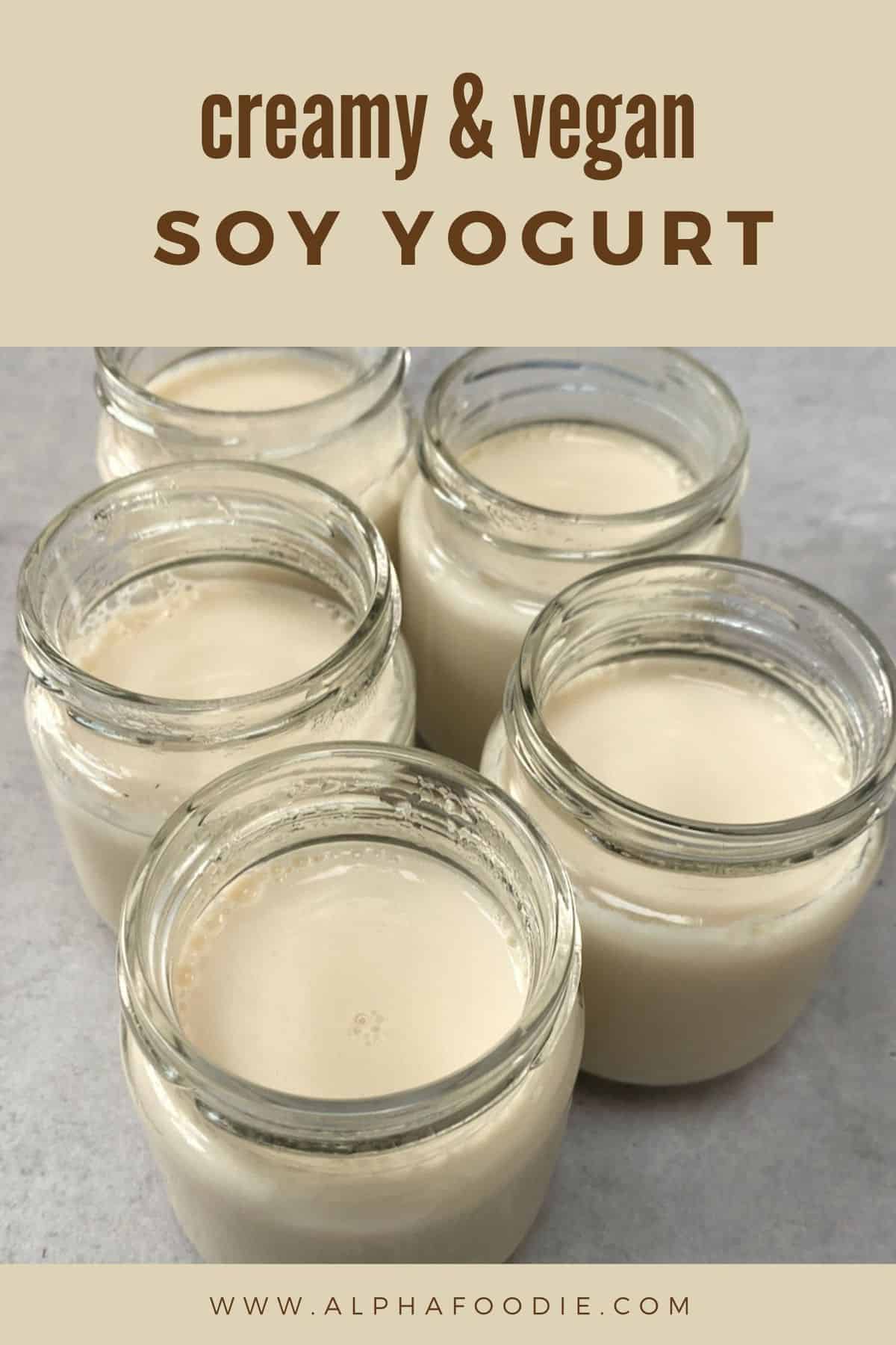 How To Make Soy Yogurt (Vegan Yogurt Recipe) Alphafoodie