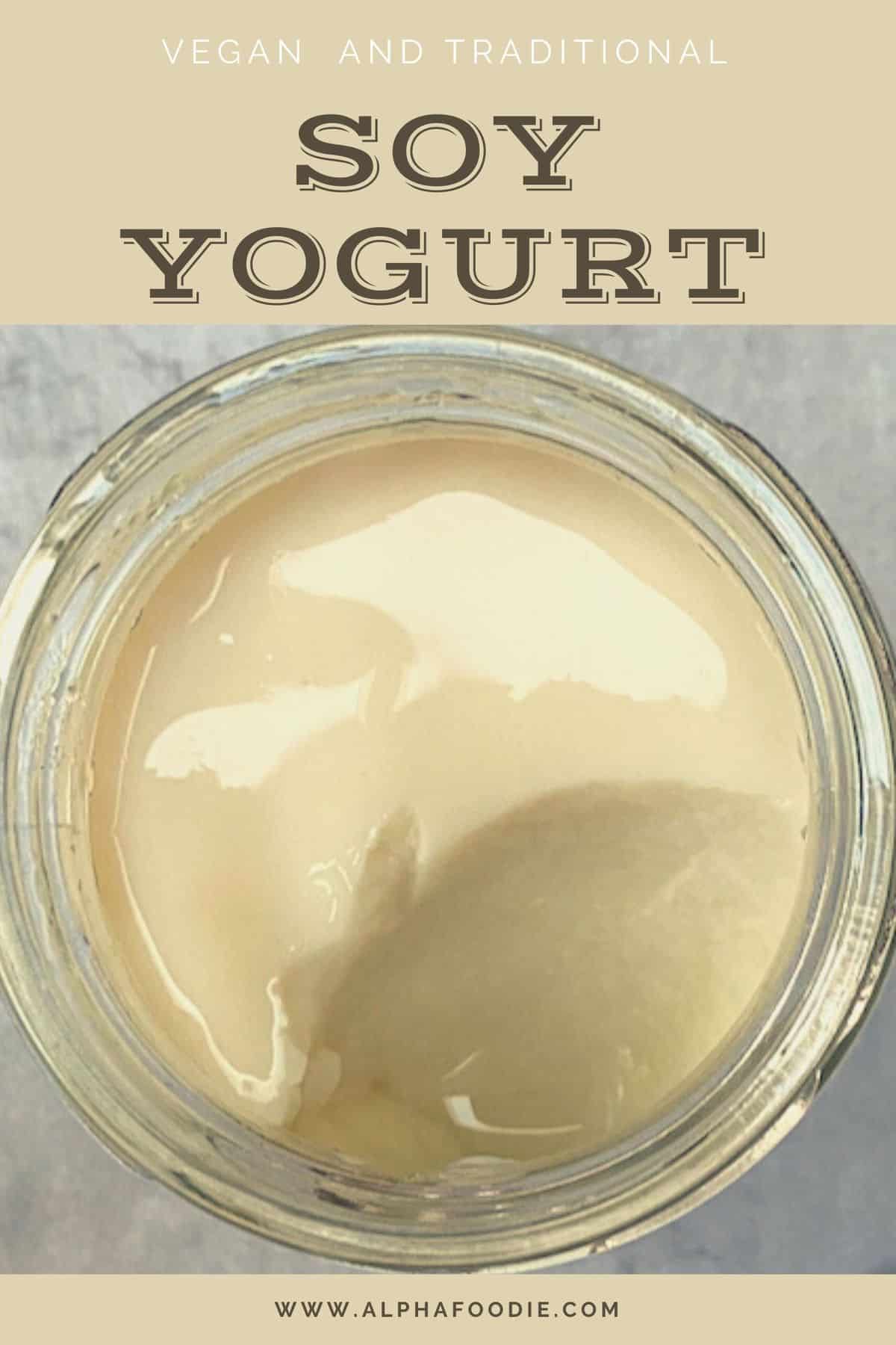How To Make Soy Yogurt (Vegan Yogurt Recipe) Alphafoodie