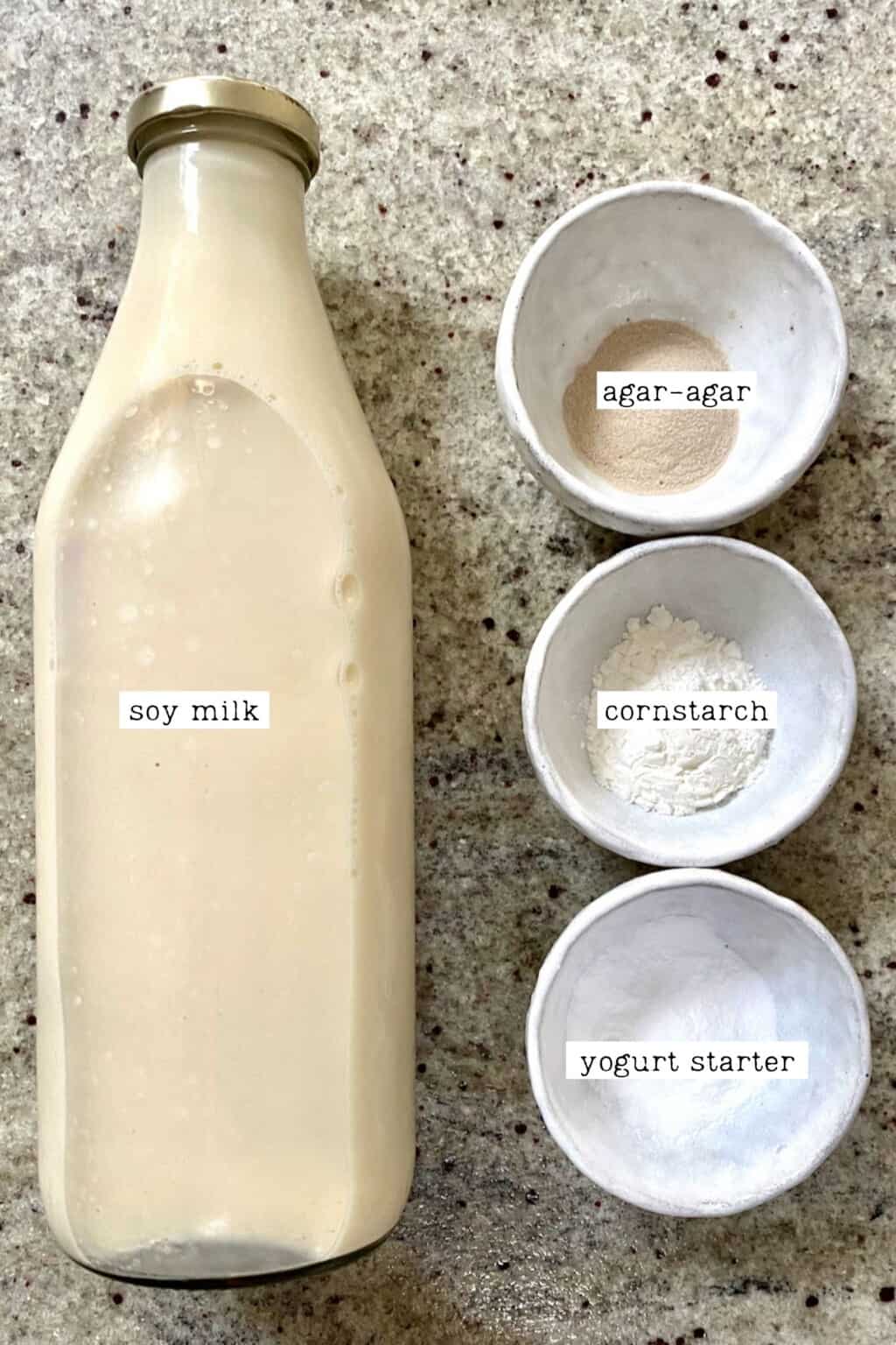 How To Make Soy Yogurt (Vegan Yogurt Recipe) Alphafoodie