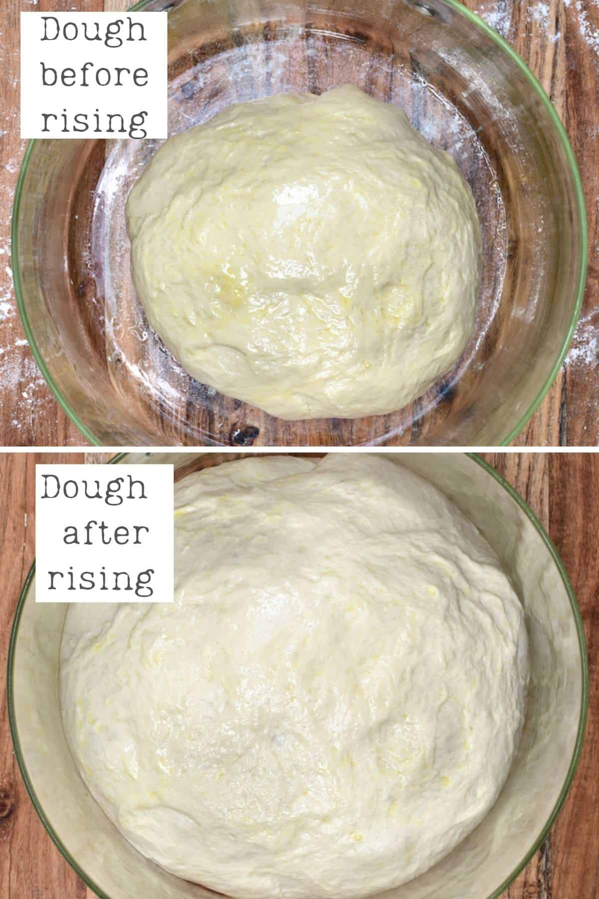 Bagel dough before and after rising