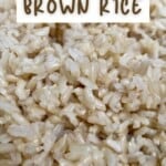 A close up of cooked brown rice