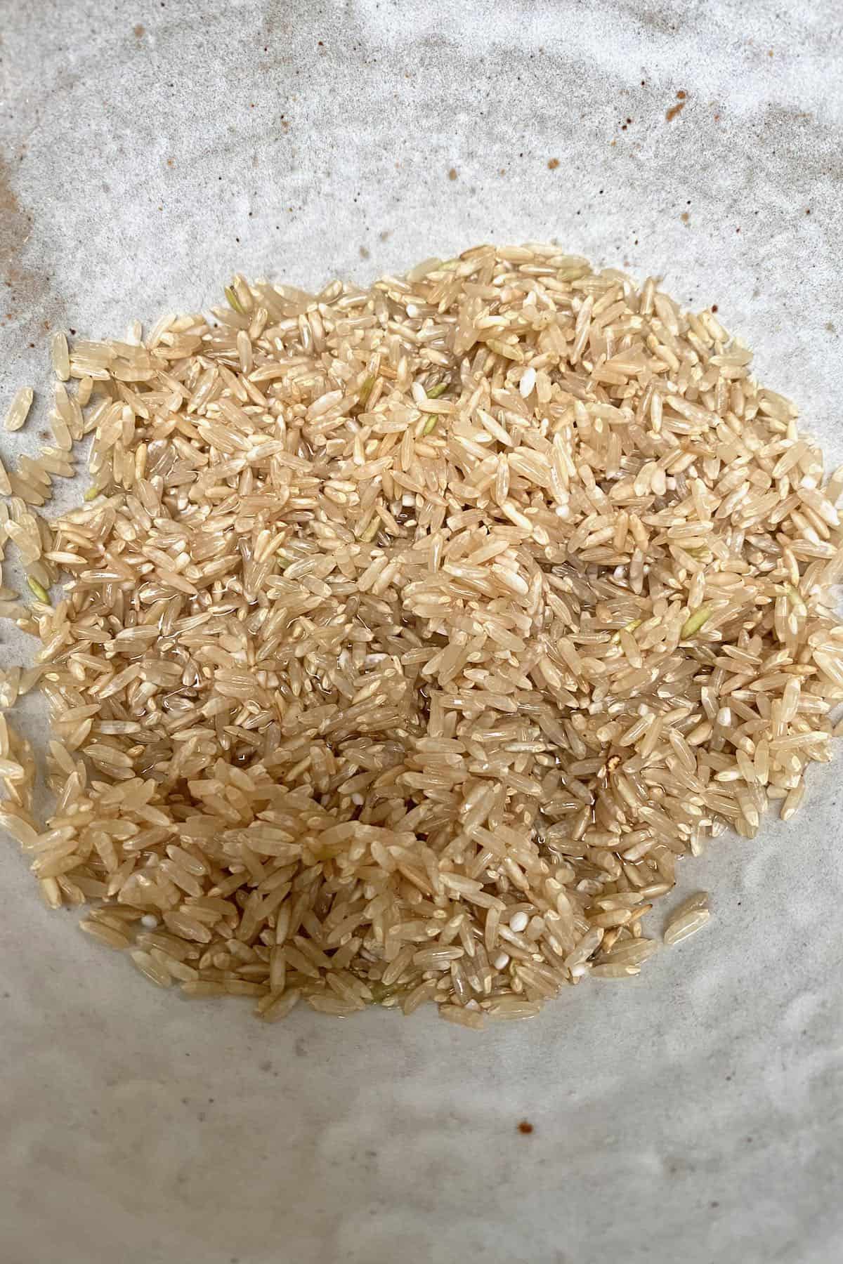 RIce in a bowl
